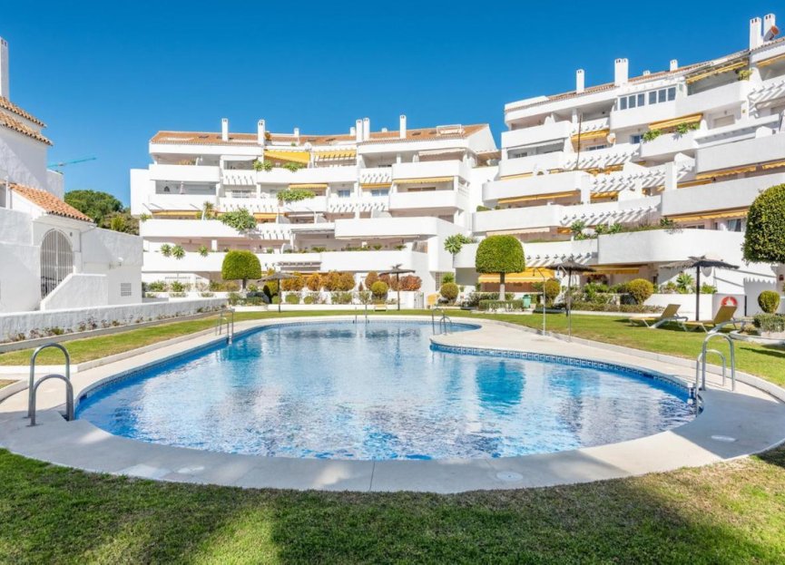 Resale - Apartment - Middle Floor Apartment - Marbella - Nueva Andalucia