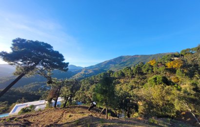 Reventa - Plot - Land - Benahavís - La Zagaleta