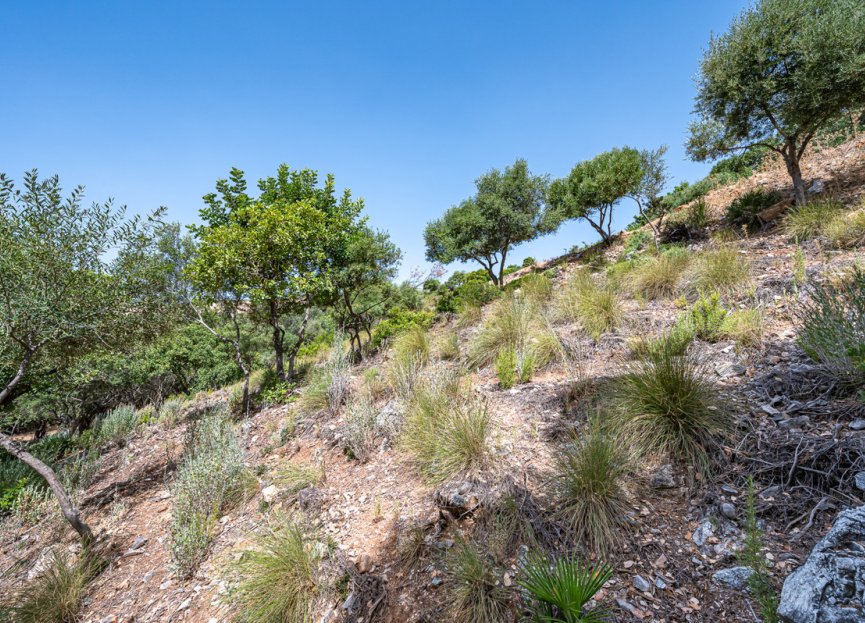 Resale - Plot - Land - Benahavís - La Zagaleta