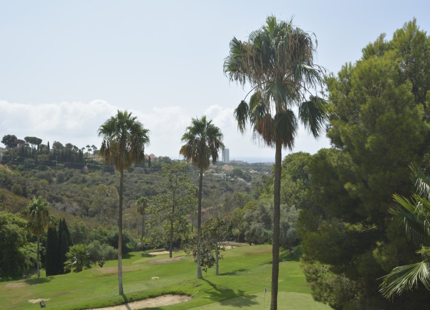 Resale - Apartment - Middle Floor Apartment - Marbella - Elviria