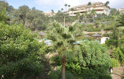 Resale - Apartment - Middle Floor Apartment - Marbella - Elviria