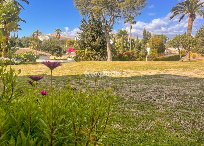 Resale - Apartment - Ground Floor Apartment - Marbella - Nueva Andalucia