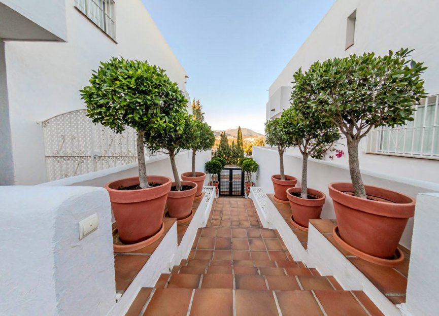 Resale - Apartment - Middle Floor Apartment - Marbella - Nueva Andalucia