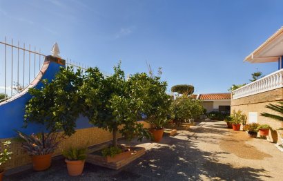 Resale - House - Detached Villa - Los Alcazares - Los Alcazares Centro