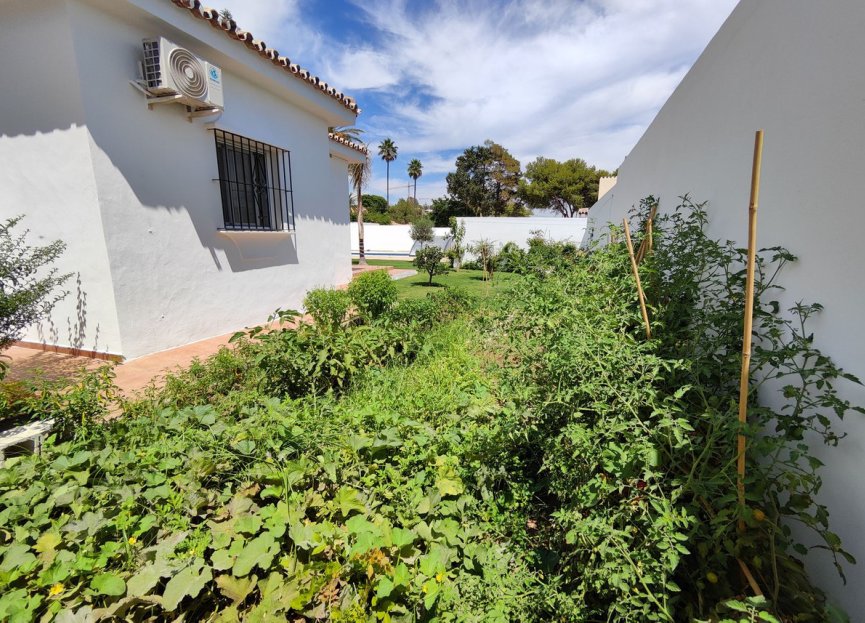 Resale - House - Detached Villa - Estepona - Estepona Centro