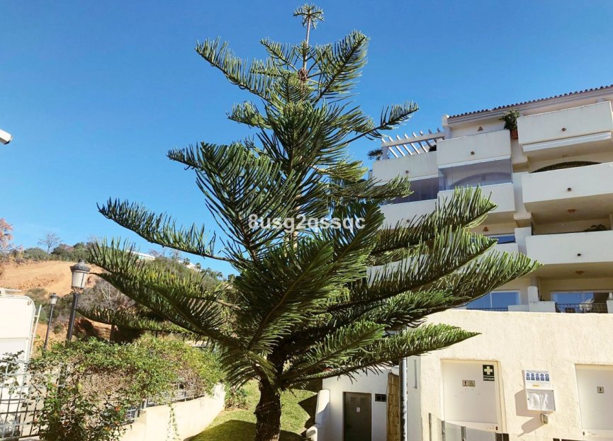 Resale - Apartment - Middle Floor Apartment - Marbella - Elviria