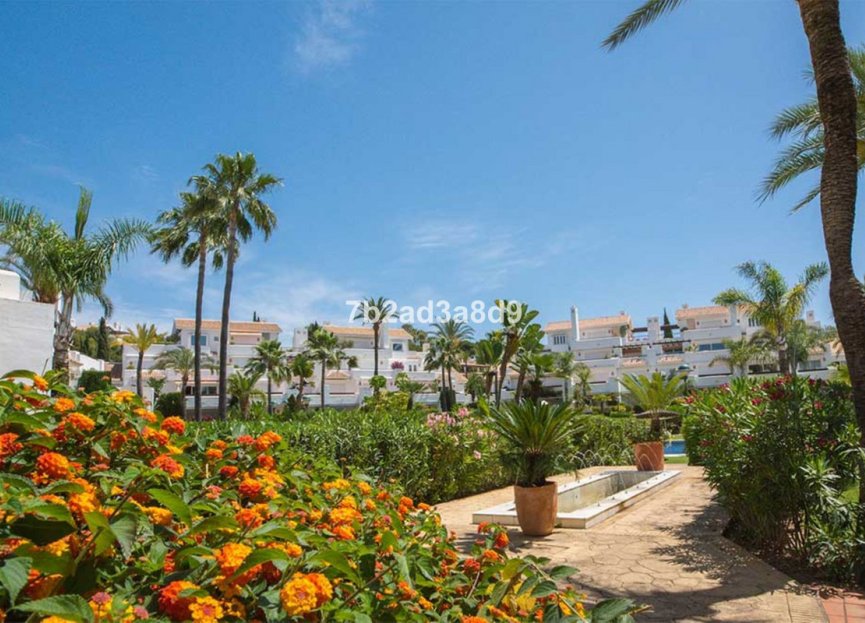 Resale - Apartment - Middle Floor Apartment - Marbella - Los Monteros