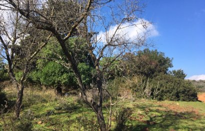 Resale - Plot - Land - Manilva - Manilva Centro