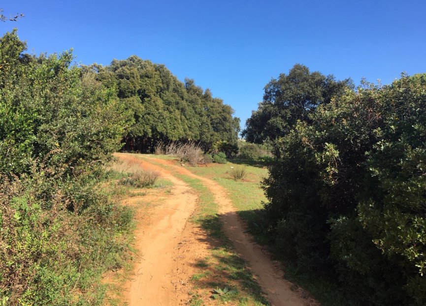 Resale - Plot - Land - Manilva - Manilva Centro