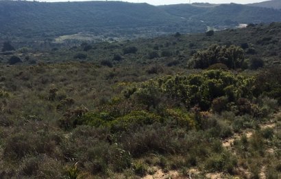 Resale - Plot - Land - Manilva - Manilva Centro