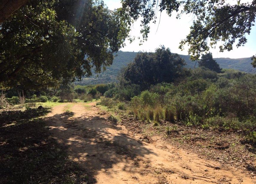 Resale - Plot - Land - Manilva - Manilva Centro