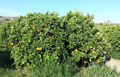 Reventa - House - Finca - Cortijo - Manilva - San Luis de Sabinillas