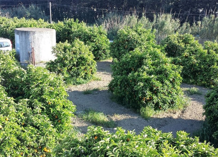 Reventa - House - Finca - Cortijo - Manilva - San Luis de Sabinillas