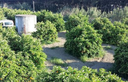 Reventa - House - Finca - Cortijo - Manilva - San Luis de Sabinillas