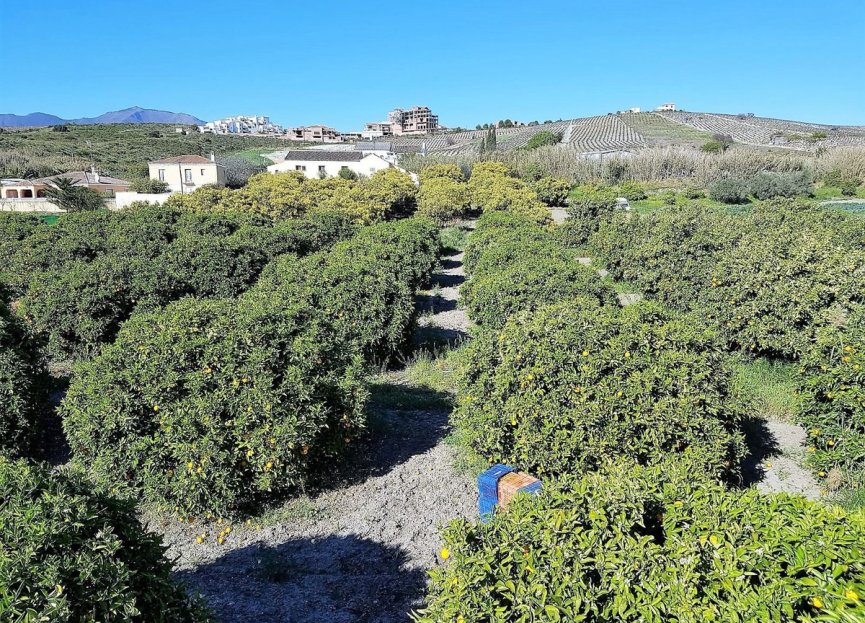 Reventa - House - Finca - Cortijo - Manilva - San Luis de Sabinillas