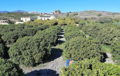 Reventa - House - Finca - Cortijo - Manilva - San Luis de Sabinillas