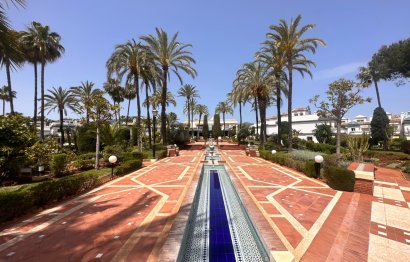 Dominion Beach, Esteona