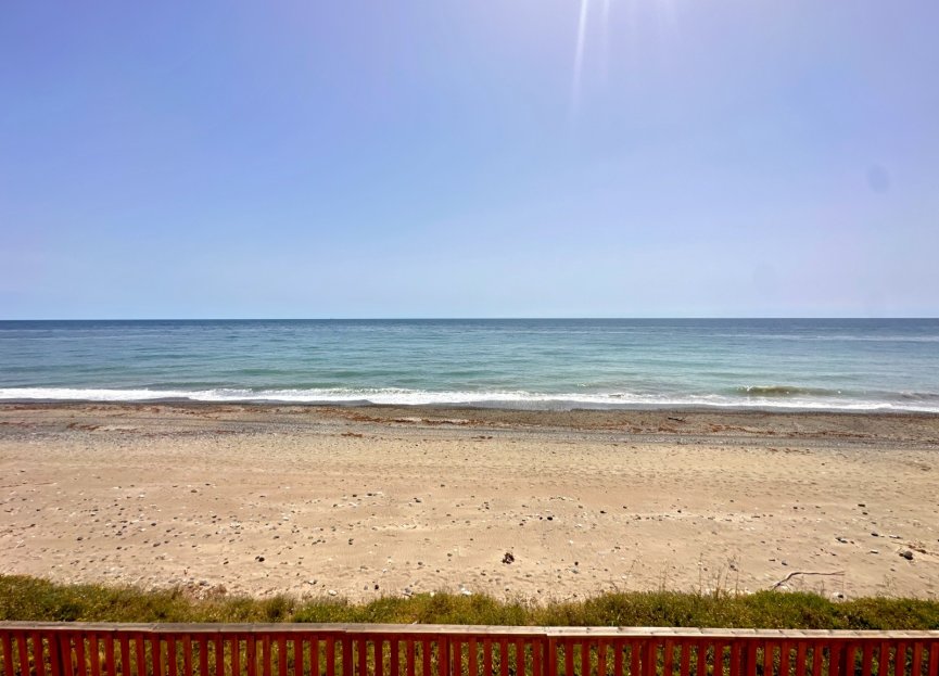 Dominion Beach, Estepona