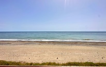 Dominion Beach, Estepona