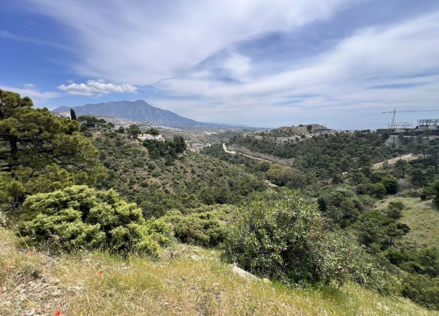 Resale - Plot - Residential Plot - Benahavís - El Madroñal