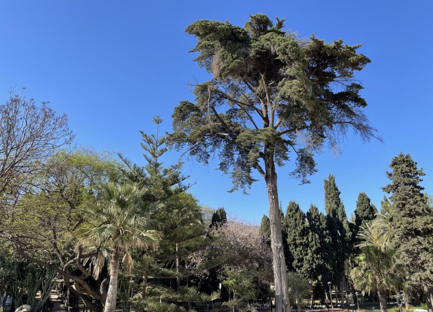 Resale - Apartment - Penthouse - Marbella - Marbella Centro