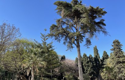 Resale - Apartment - Penthouse - Marbella - Marbella Centro