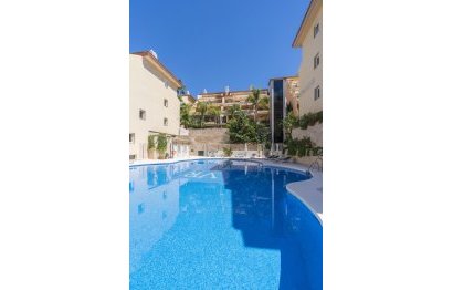 Resale - Ground floor apartment - Marbella - Nueva Andalucia