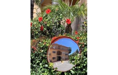 Resale - Ground floor apartment - Marbella - Nueva Andalucia
