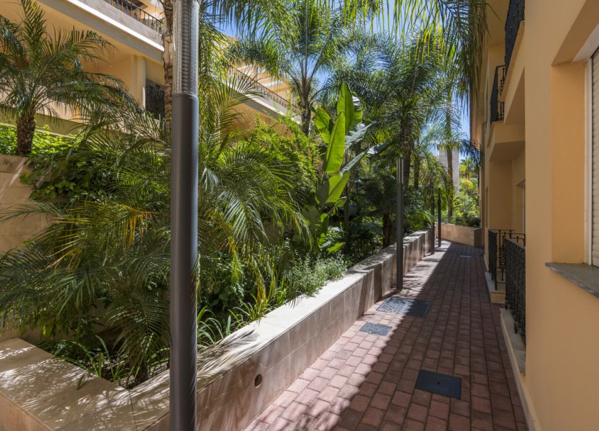 Resale - Ground floor apartment - Marbella - Nueva Andalucia