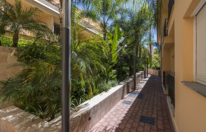 Resale - Ground floor apartment - Marbella - Nueva Andalucia