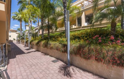 Resale - Ground floor apartment - Marbella - Nueva Andalucia