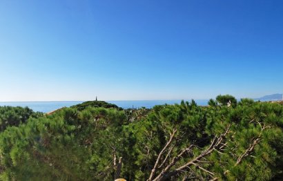 Resale - House - Detached Villa - Marbella - Marbesa