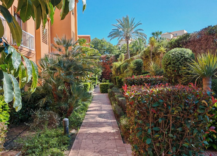 Resale - Ground floor apartment - Estepona - Estepona Centro