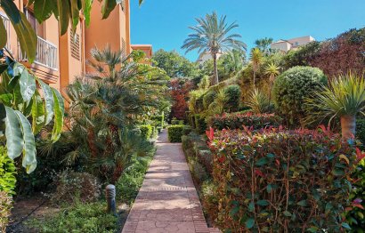 Resale - Ground floor apartment - Estepona - Estepona Centro