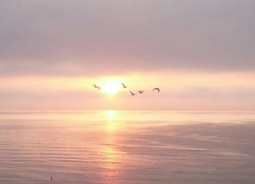 Resale - Apartment - Penthouse - Fuengirola - Fuengirola Centro