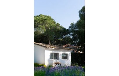 Resale - House - Detached Villa - Marbella - Las Chapas