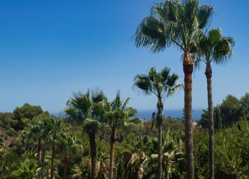 Resale - Ground floor apartment - Marbella - Sierra Blanca