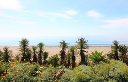 Resale - Apartment - Top Floor Apartment - Estepona - New Golden Mile