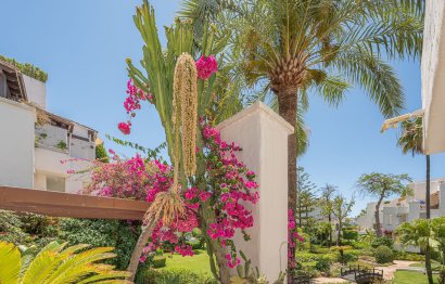 Resale - Ground floor apartment - Marbella - Marbella Centro