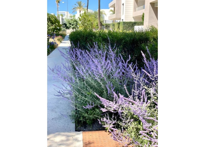 Resale - Ground floor apartment - Estepona - Cancelada