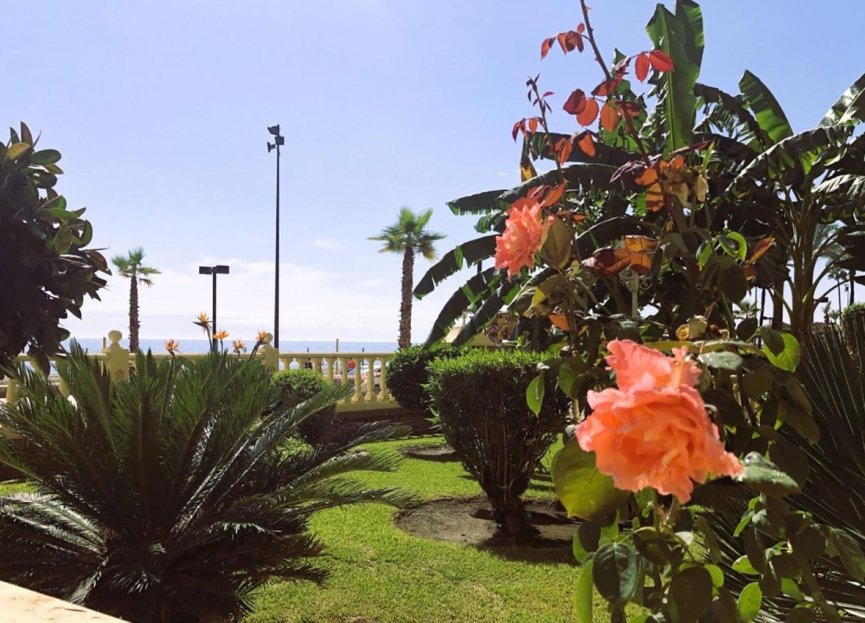 Resale - Apartment - Penthouse - Fuengirola - Fuengirola Centro