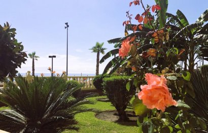 Resale - Apartment - Penthouse - Fuengirola - Fuengirola Centro