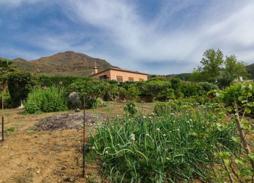 Resale - House - Finca - Cortijo - Estepona - Estepona Centro