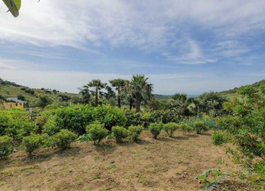 Resale - House - Finca - Cortijo - Estepona - Estepona Centro