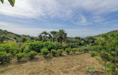 Resale - House - Finca - Cortijo - Estepona - Estepona Centro