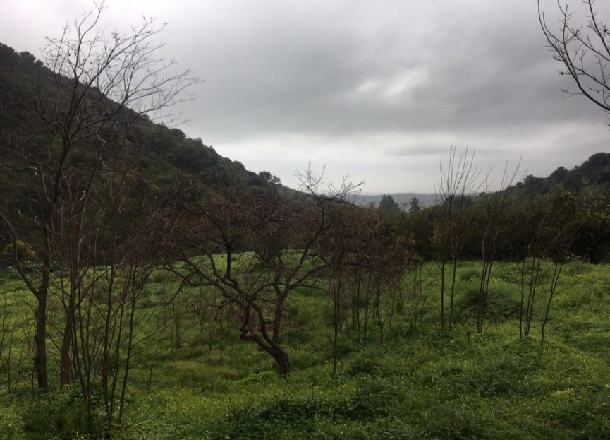 New Build - Plot - Land - Estepona - Estepona Centro