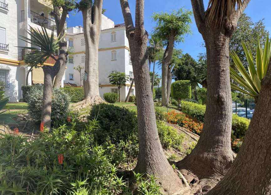 Resale - Ground floor apartment - Estepona - Diana Park