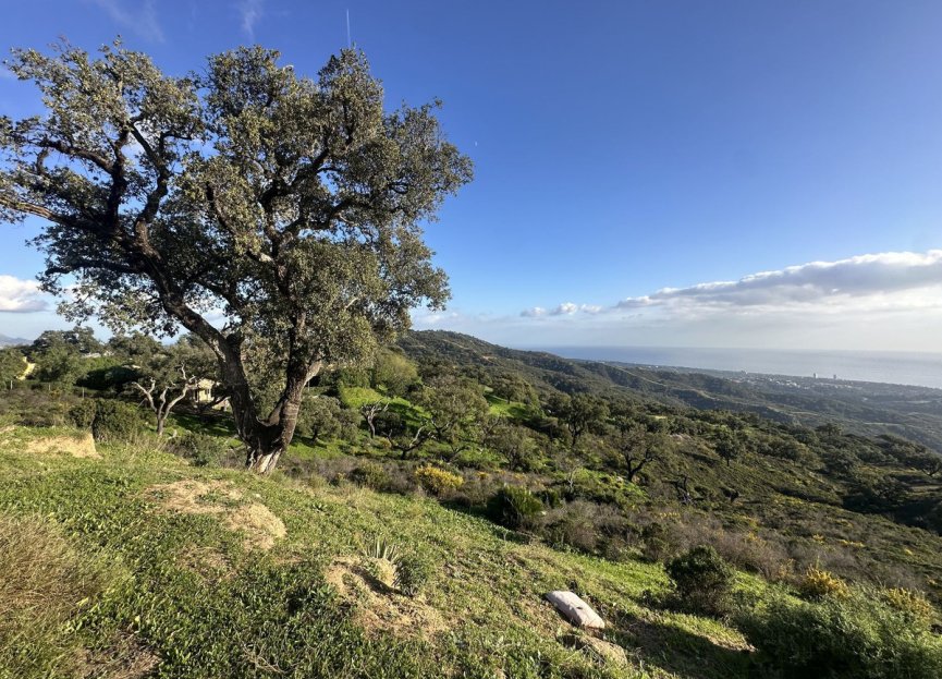 Reventa - Plot - Land - Marbella - La Mairena
