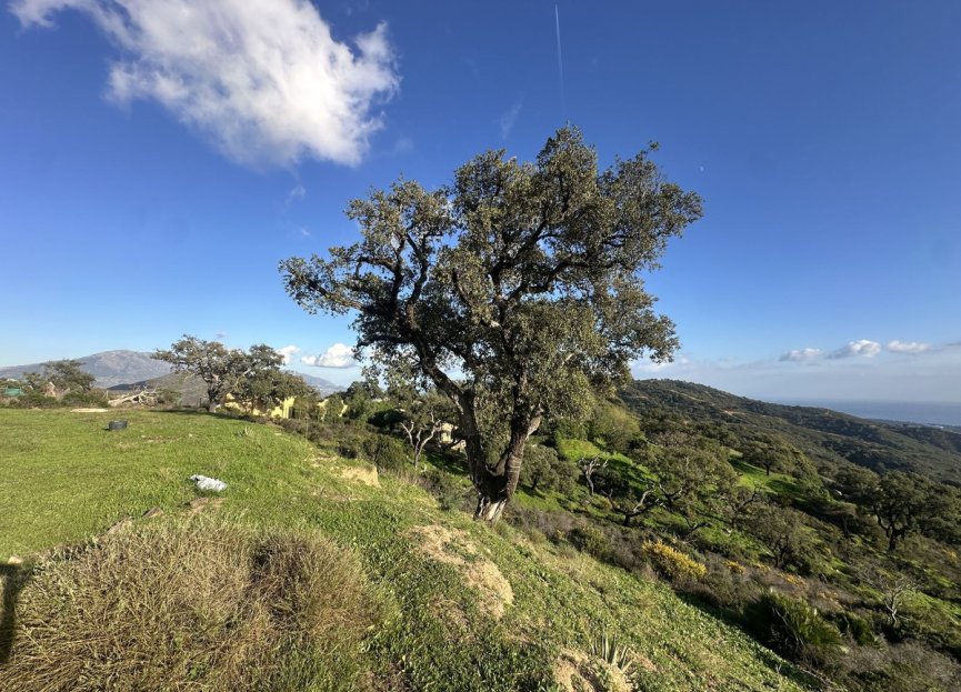 Reventa - Plot - Land - Marbella - La Mairena