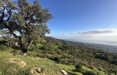 Reventa - Plot - Land - Marbella - La Mairena